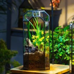 Vintage Tall Octagon Geometric Tin Glass Terrarium , 12.6" , Open, Suitable For Tall Plants, Orchid, Small Begonia Pitcher, Micro Landscape -Terrarium Plant Hub IMG 8993