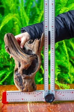 Driftwood For Moss Terrarium, Miniature, Micro Landscape,T8007 -Terrarium Plant Hub IMG 8993 090b700e 3c67 40ff b8e8 d6bd48ac68a3