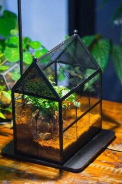 Handmade Terrarium With Light, House Shape Glass Geometric Terrarium With LED Light Set -Terrarium Plant Hub IMG 9014 f881dad1 8fd5 4d66 8d62 a408fabd73d2