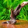 Driftwood For Moss Terrarium, Miniature, Micro Landscape, H8002 -Terrarium Plant Hub IMG 9024 2