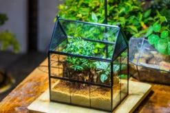 Handmade Terrarium With Light, House Shape Glass Geometric Terrarium With LED Light Set -Terrarium Plant Hub IMG 9025 5b6199d3 edff 44f0 a438 2034872befdb