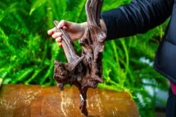 Driftwood For Moss Terrarium, Miniature, Micro Landscape, H8002 -Terrarium Plant Hub IMG 9028 c859b645 5c1e 49e1 9100 f3c09ef5ab52