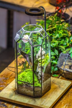 Vintage Tall Octagon Geometric Tin Glass Terrarium , 12.6" , Close, Suitable For Tall Plants, Orchid, Small Begonia Pitcher, Micro Landscape -with White Light Set -Terrarium Plant Hub IMG 9039