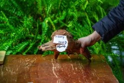 Driftwood For Moss Terrarium, Miniature, Micro Landscape, H8004 -Terrarium Plant Hub IMG 9055 1e05d25f 986e 4e9d b91c 8666eb790f28