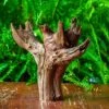 Driftwood For Moss Terrarium, Miniature, Micro Landscape, H8004 -Terrarium Plant Hub IMG 9056 2