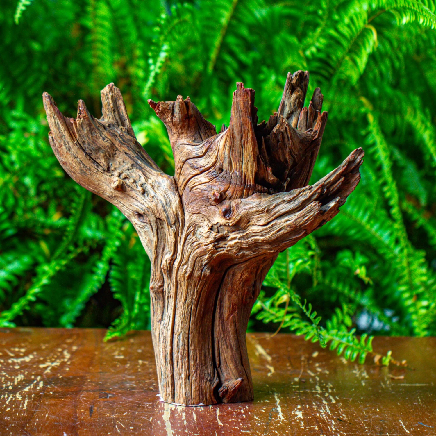 Driftwood For Moss Terrarium, Miniature, Micro Landscape, H8004