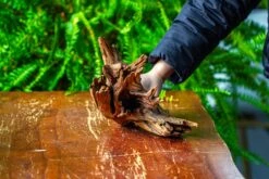 Driftwood For Moss Terrarium, Miniature, Micro Landscape, H8004 -Terrarium Plant Hub IMG 9060 a6485a07 c1d0 4f51 90fe 22c664f0ead7