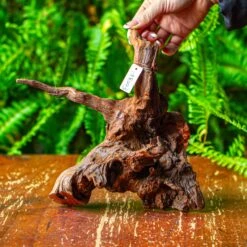 Driftwood For Moss Terrarium, Miniature, Micro Landscape, H8003