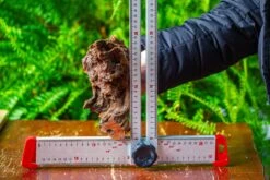 Driftwood For Moss Terrarium, Miniature, Micro Landscape, H8003 -Terrarium Plant Hub IMG 9071 8d56e794 a6fd 4945 9d6c a69fd183667b