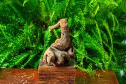 Driftwood For Moss Terrarium, Miniature, Micro Landscape,TS005 -Terrarium Plant Hub IMG 9081