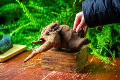 Driftwood For Moss Terrarium, Miniature, Micro Landscape,TS005 -Terrarium Plant Hub IMG 9085 385914ab 7bb8 4eba ad79 9564481f7030