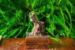 Driftwood For Moss Terrarium, Miniature, Micro Landscape,TS010 -Terrarium Plant Hub IMG 9090 84a2cca2 4fea 404b aabc af788c8f901e