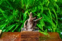 Driftwood For Moss Terrarium, Miniature, Micro Landscape,TS010 -Terrarium Plant Hub IMG 9091