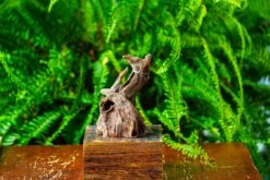 Driftwood For Moss Terrarium, Miniature, Micro Landscape,TS010 -Terrarium Plant Hub IMG 9092 2c4e1463 2c80 4be5 9329 94a936c1c790