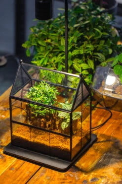 Handmade Terrarium With Light, House Shape Glass Geometric Terrarium With LED Light Set -Terrarium Plant Hub IMG 9099