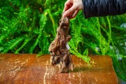 Driftwood For Moss Terrarium, Miniature, Micro Landscape,TS008 -Terrarium Plant Hub IMG 9109 8f1beb48 3737 4c6b a375 ba6e044d4f31