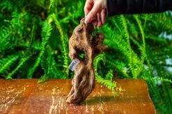 Driftwood For Moss Terrarium, Miniature, Micro Landscape,TS008 -Terrarium Plant Hub IMG 9110