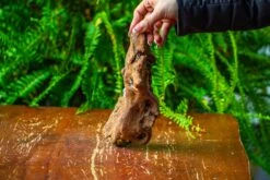 Driftwood For Moss Terrarium, Miniature, Micro Landscape,TS008 -Terrarium Plant Hub IMG 9111 5f06c0ff 9556 404c 913d f126f8d72fc7