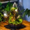 Cliff Terrarium Building DIY Set: Live Moss Cliff TearDrop Close Terrarium With Matching LED Grow Light And Base -Terrarium Plant Hub IMG 9112 997d9b60 d95d 4859 9d6b c820ec1684db