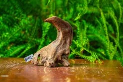 Driftwood For Moss Terrarium, Miniature, Micro Landscape,TS009 -Terrarium Plant Hub IMG 9116 3854eec1 08be 40e2 8308 bc9b57d24b4f