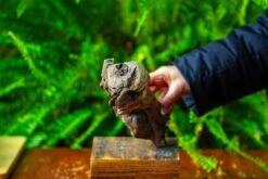 Driftwood For Moss Terrarium, Miniature, Micro Landscape,TS012 -Terrarium Plant Hub IMG 9135