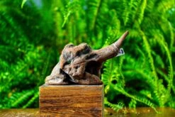 Driftwood For Moss Terrarium, Miniature, Micro Landscape,TS002 -Terrarium Plant Hub IMG 9139