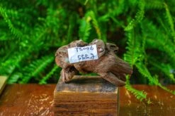 Driftwood For Moss Terrarium, Miniature, Micro Landscape,TS006 -Terrarium Plant Hub IMG 9147 fc22d786 d90b 4551 ae53 3d1f8d370ba7