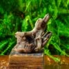 Driftwood For Moss Terrarium, Miniature, Micro Landscape,TS006 2 Driftwood For Moss Terrarium, Miniature, Micro Landscape,TS006 -Terrarium Plant Hub IMG 9148 2