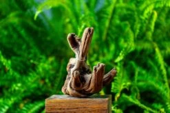 Driftwood For Moss Terrarium, Miniature, Micro Landscape,TS006 -Terrarium Plant Hub IMG 9149 6ce5c9c4 c820 4b6a a7b2 b4bcb86db793
