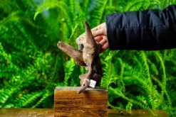 Driftwood For Moss Terrarium, Miniature, Micro Landscape,TS004 -Terrarium Plant Hub IMG 9161 f48dd794 251c 40d6 9444 f6829648a7e6