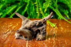 Driftwood For Moss Terrarium, Miniature, Micro Landscape,TS004 -Terrarium Plant Hub IMG 9162