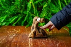 Driftwood For Moss Terrarium, Miniature, Micro Landscape,TS007 -Terrarium Plant Hub IMG 9167 ed7e279c 2876 4a19 ad22 6d9203307c43