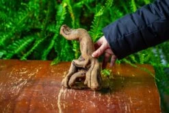 Driftwood For Moss Terrarium, Miniature, Micro Landscape,TS007 -Terrarium Plant Hub IMG 9169 790eedb8 a217 4cf9 b546 e8a9499fc301