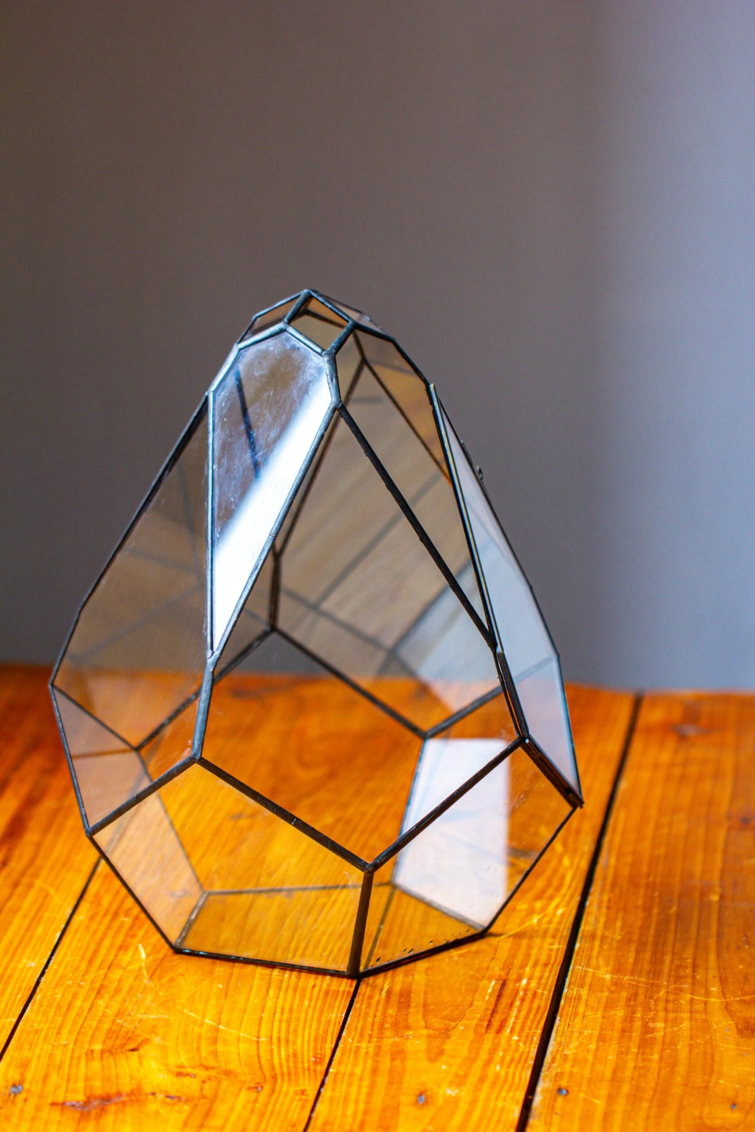 Propagation Station 13" Large Teardrop Geometric Terrarium, Close, With Door 4 Propagation Station 13" Large Teardrop Geometric Terrarium, Close, With Door - Image 2