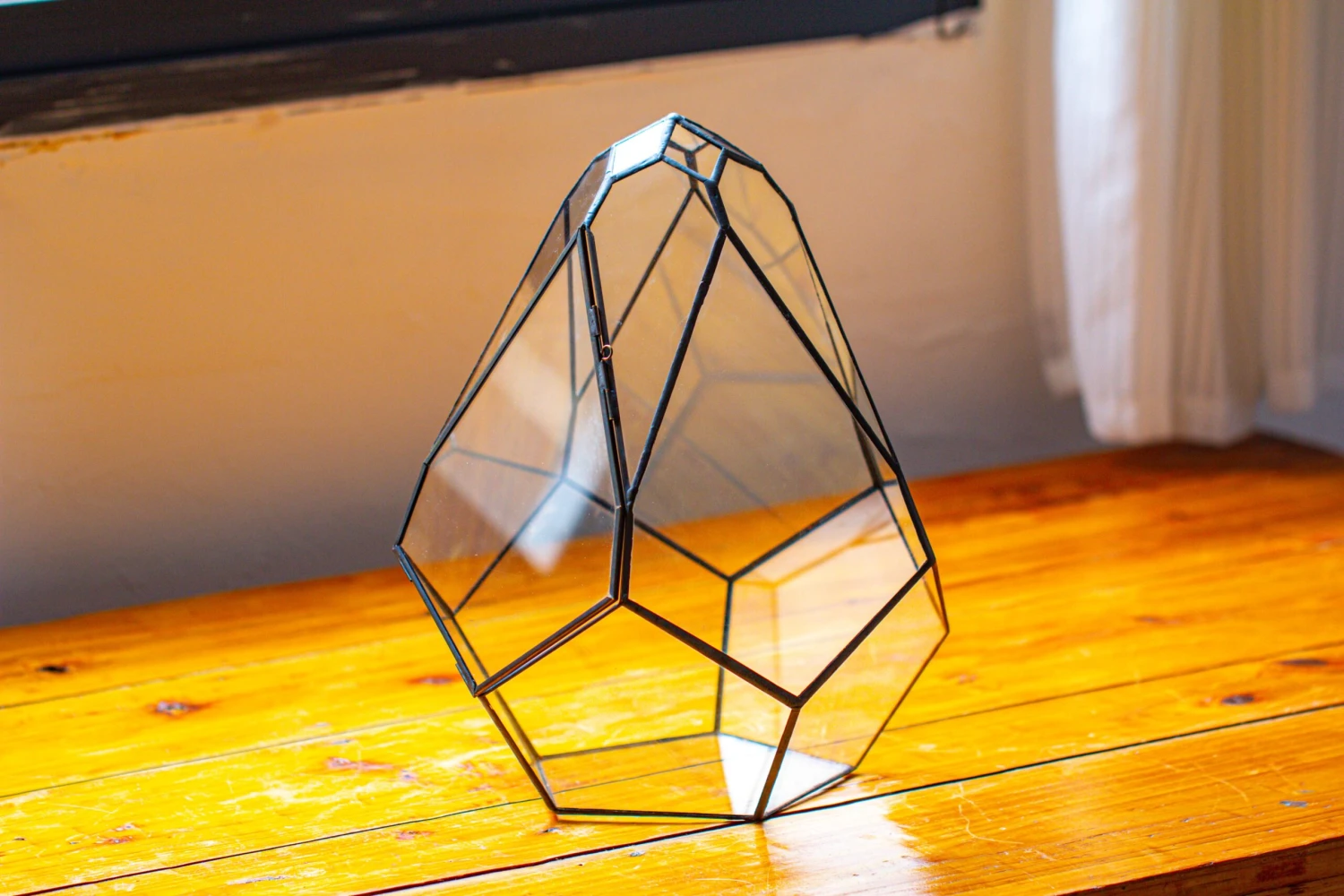 Propagation Station 13" Large Teardrop Geometric Terrarium, Close, With Door 5 Propagation Station 13" Large Teardrop Geometric Terrarium, Close, With Door - Image 3