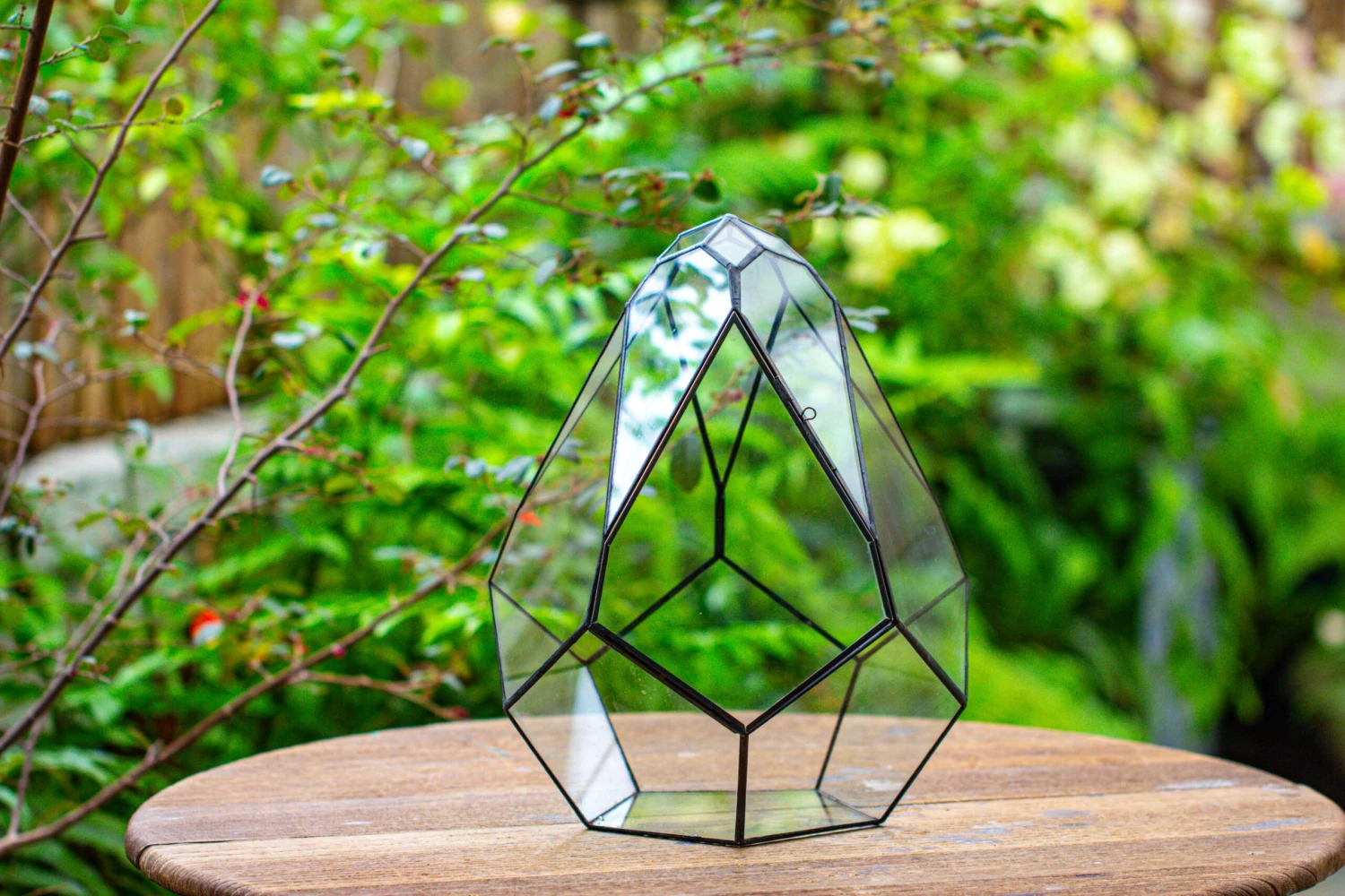 Propagation Station 13" Large Teardrop Geometric Terrarium, Close, With Door 6 Propagation Station 13" Large Teardrop Geometric Terrarium, Close, With Door - Image 4