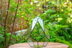 Propagation Station 13" Large Teardrop Geometric Terrarium, Close, With Door 26 Propagation Station 13" Large Teardrop Geometric Terrarium, Close, With Door -Terrarium Plant Hub IMG 9360 0200e605 c09e 4af2 861b 1e0223cf97bd