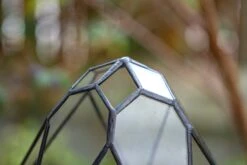 Propagation Station 13" Large Teardrop Geometric Terrarium, Close, With Door 29 Propagation Station 13" Large Teardrop Geometric Terrarium, Close, With Door -Terrarium Plant Hub IMG 9363