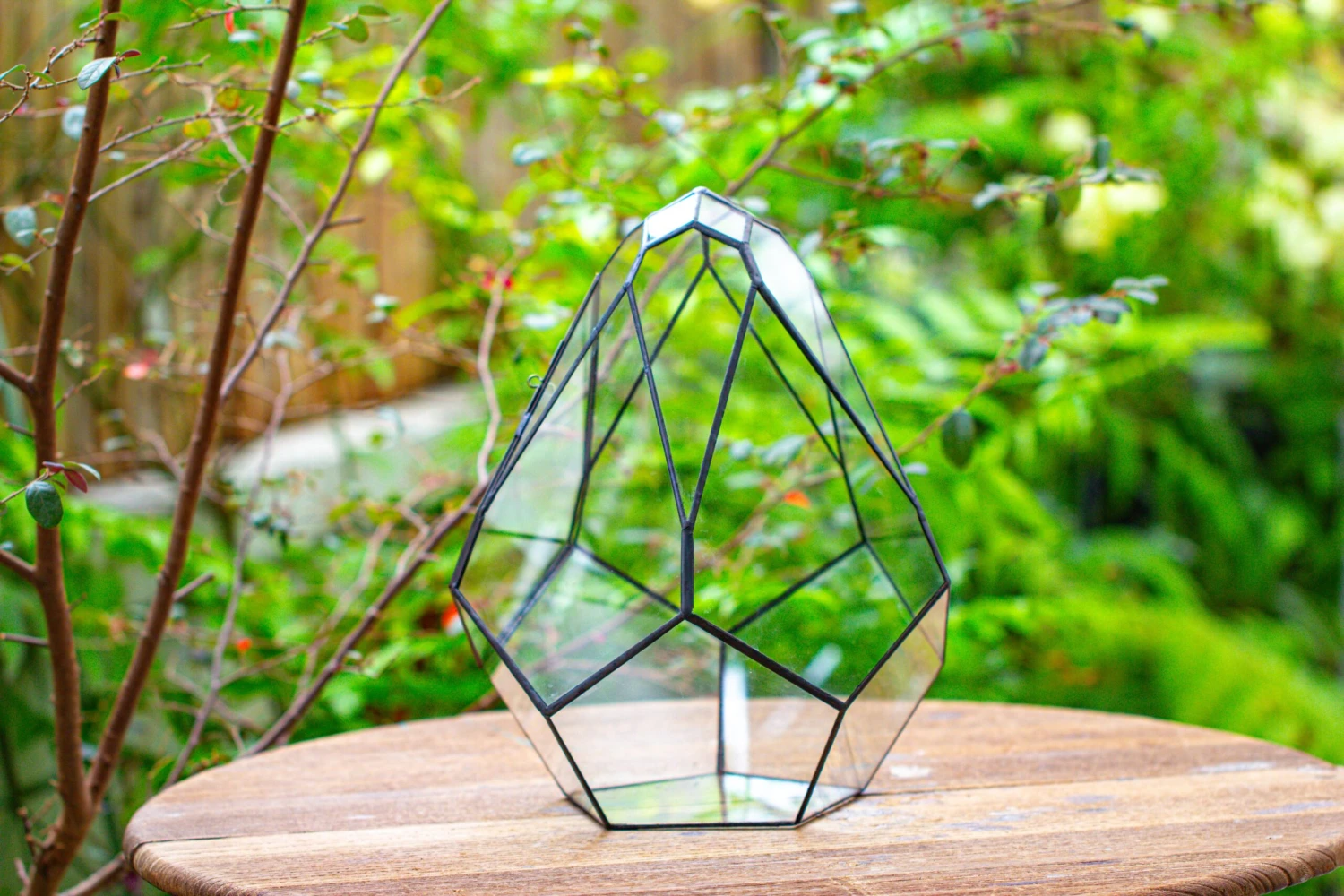 Propagation Station 13" Large Teardrop Geometric Terrarium, Close, With Door 12 Propagation Station 13" Large Teardrop Geometric Terrarium, Close, With Door - Image 10