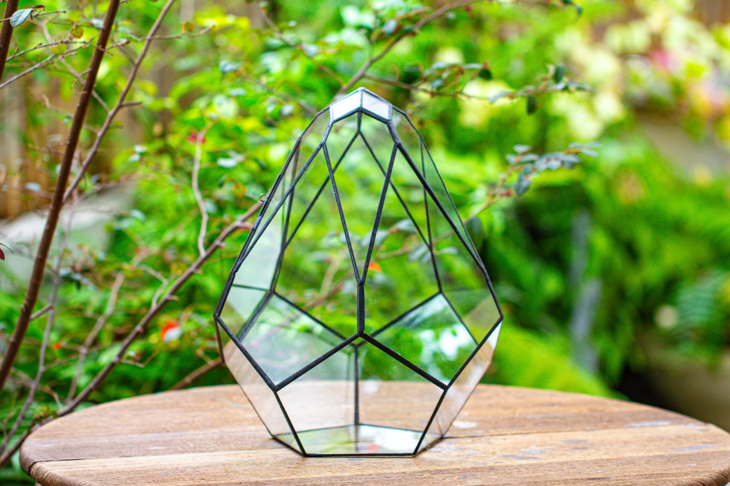 Propagation Station 13" Large Teardrop Geometric Terrarium, Close, With Door 13 Propagation Station 13" Large Teardrop Geometric Terrarium, Close, With Door - Image 11