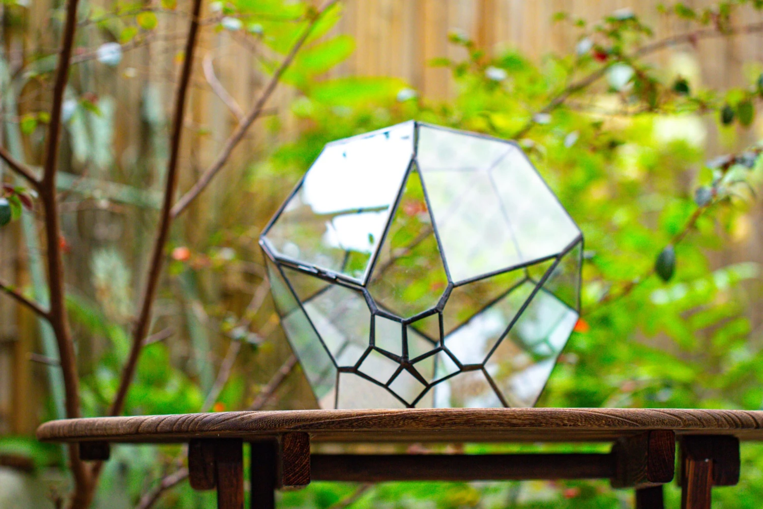 Propagation Station 13" Large Teardrop Geometric Terrarium, Close, With Door 14 Propagation Station 13" Large Teardrop Geometric Terrarium, Close, With Door - Image 12