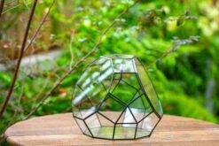 Propagation Station Glass Geometric Moon Terrarium, Close, With Door 25 Propagation Station Glass Geometric Moon Terrarium, Close, With Door -Terrarium Plant Hub IMG 9369 6169da39 312f 450b bfe2 9dc0aec0ea9d