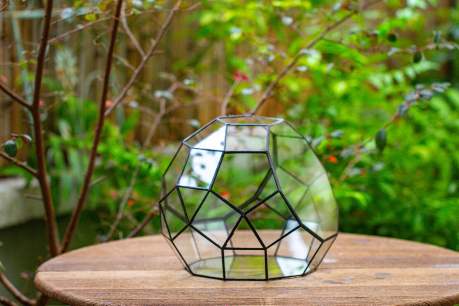 Propagation Station Glass Geometric Moon Terrarium, Close, With Door 12 Propagation Station Glass Geometric Moon Terrarium, Close, With Door - Image 10