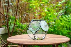 Propagation Station Glass Geometric Terrarium, 32 Face , Close, With Door, Truncated Dodecahedron -Terrarium Plant Hub IMG 9394