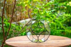 Propagation Station Glass Geometric Terrarium, 32 Face , Close, With Door, Truncated Dodecahedron -Terrarium Plant Hub IMG 9398