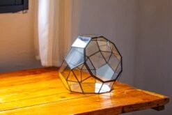 Propagation Station Glass Geometric Moon Terrarium, Close, With Door 24 Propagation Station Glass Geometric Moon Terrarium, Close, With Door -Terrarium Plant Hub IMG 9418 15a43ca0 c533 42e6 bb73 a2114295c3da