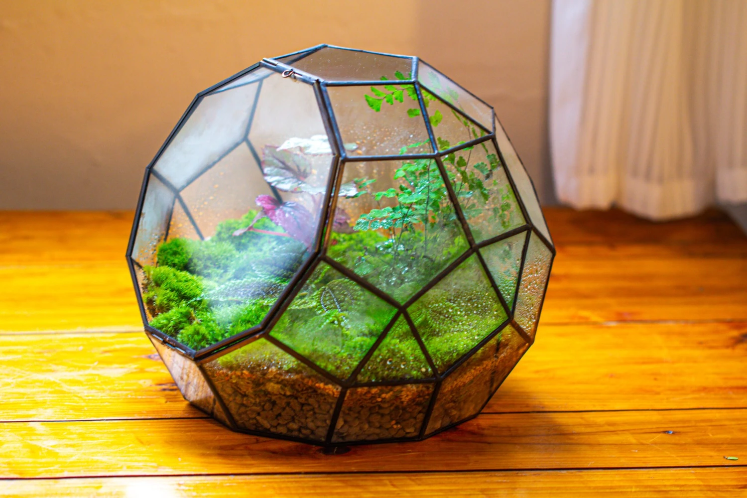 Propagation Station Glass Geometric Moon Terrarium, Close, With Door 17 Propagation Station Glass Geometric Moon Terrarium, Close, With Door - Image 15