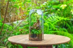 Vintage Tall Octagon Geometric Tin Glass Terrarium , 12.6" , Open, Suitable For Tall Plants, Orchid, Small Begonia Pitcher, Micro Landscape -Terrarium Plant Hub IMG 9788
