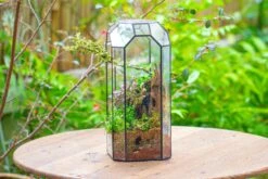Vintage Tall Octagon Geometric Tin Glass Terrarium , 12.6" , Open, Suitable For Tall Plants, Orchid, Small Begonia Pitcher, Micro Landscape -Terrarium Plant Hub IMG 9794