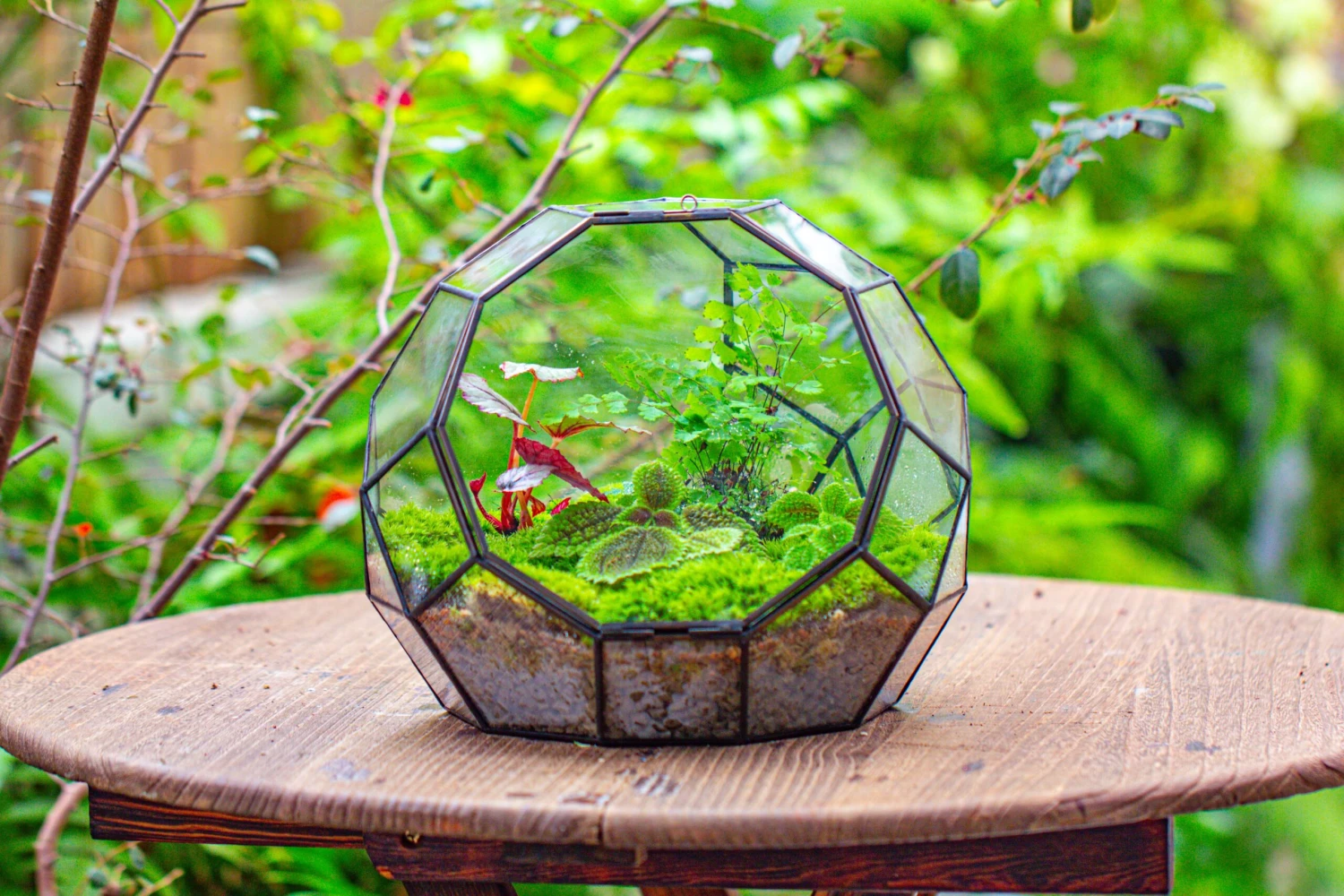 Propagation Station Glass Geometric Moon Terrarium, Close, With Door 10 Propagation Station Glass Geometric Moon Terrarium, Close, With Door - Image 8